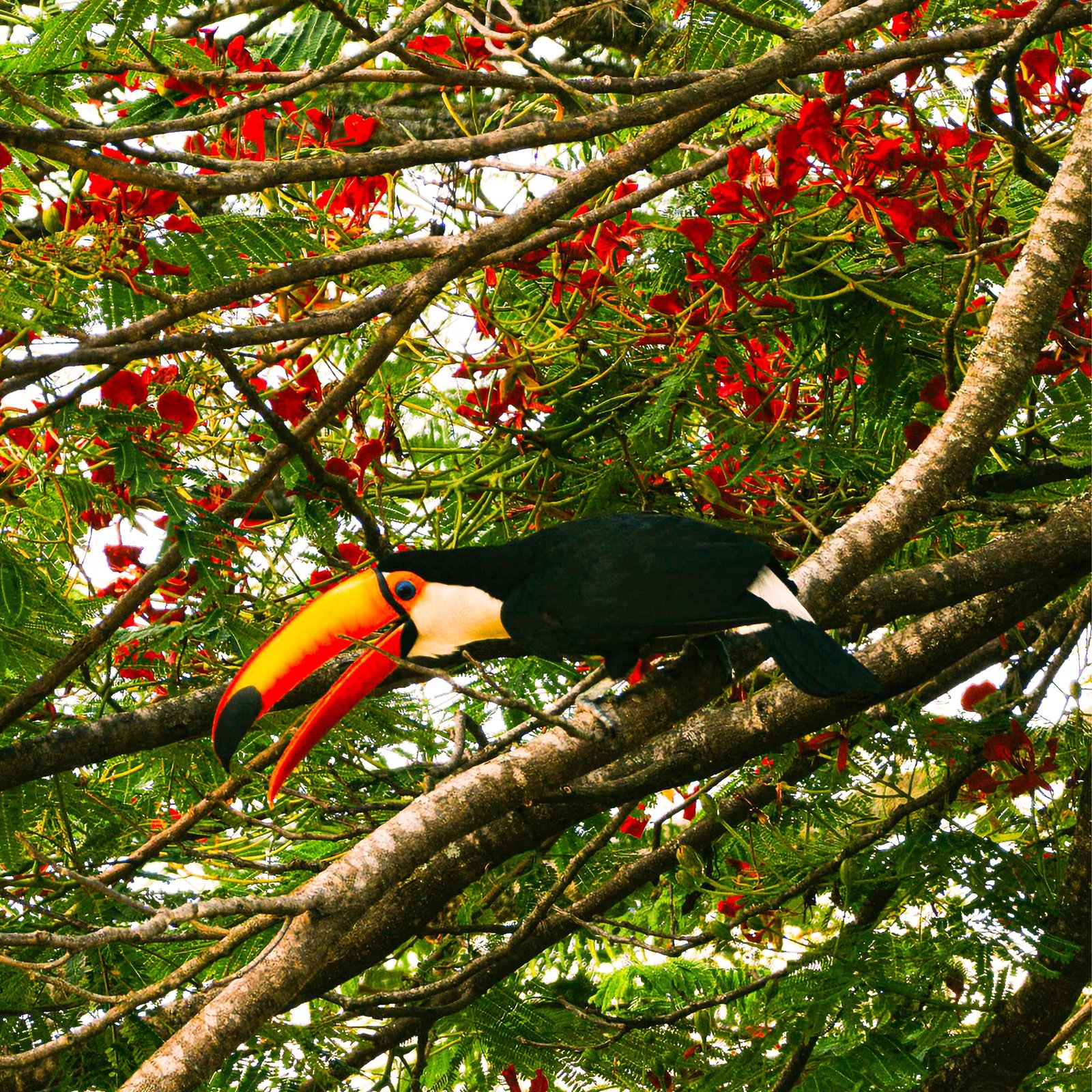 Image of a conservation summit event